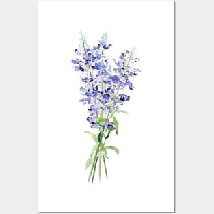 blue mealycup sage flowers bouquet watercolor Posters and Art